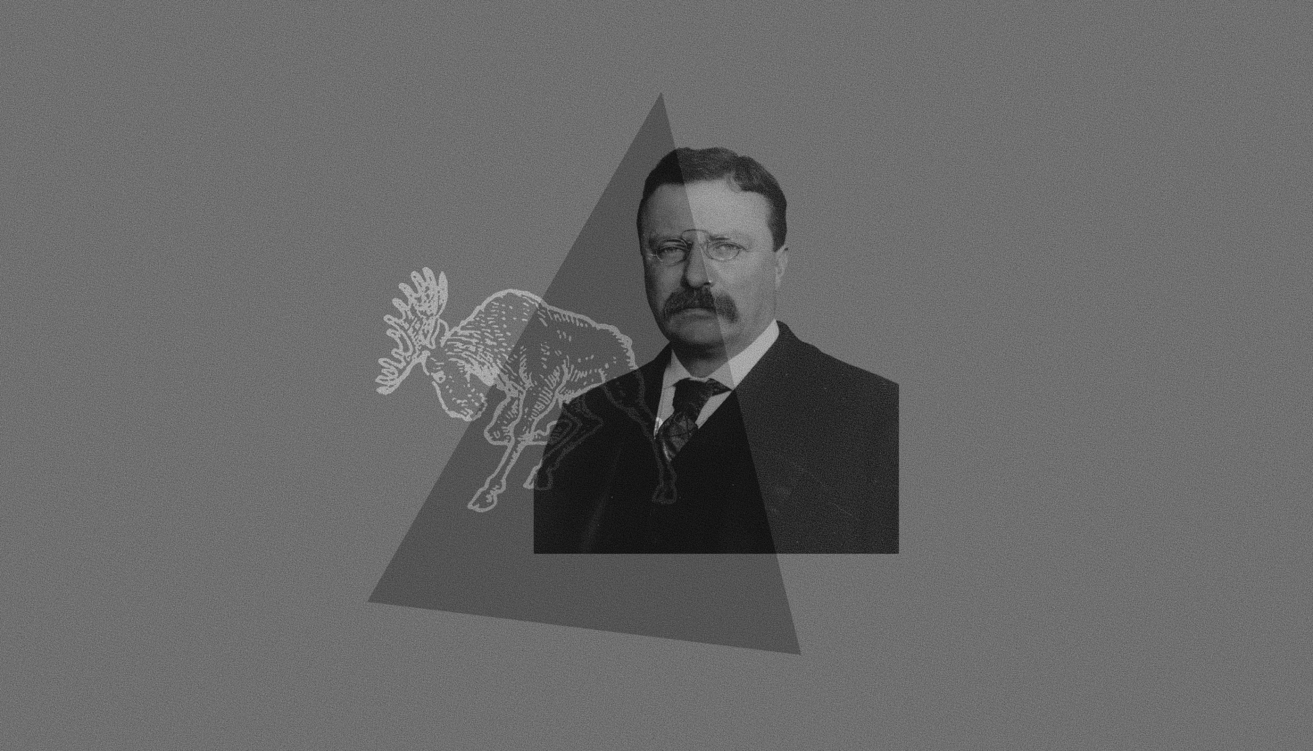 American Moment and The Bull Moose Project Launch Antitrust Study Guide